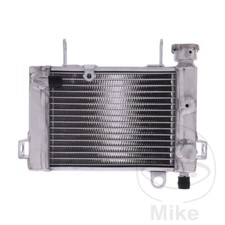Honda CBR 125 RW 2006 Radiator