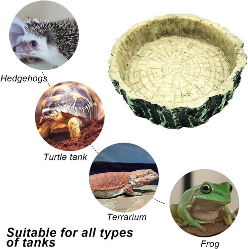 Resin reptile feeding - resin,