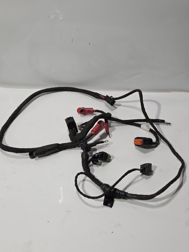 Used rotax max evo loom - used,