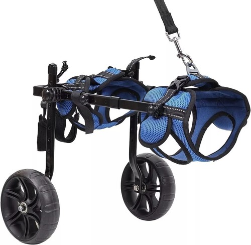 Used adjustable dog - used,
