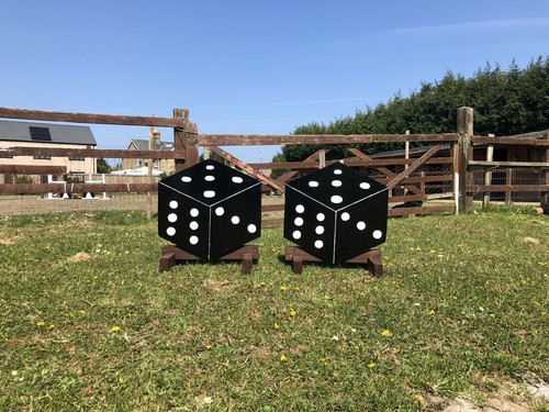 Horse pony dice - &, jump