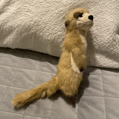 Ark toys stuffed soft - soft, toy