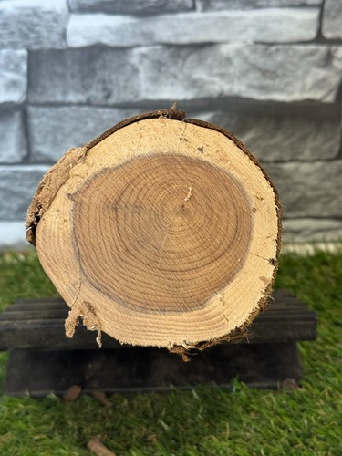 Year air dried yew wood - air,