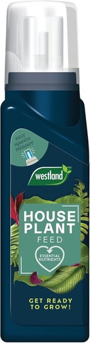 Westland houseplant feed - westland,