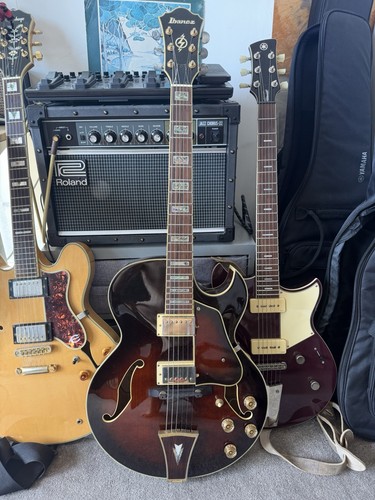 Ibanez artcore ak95 dvs12 - ibanez,