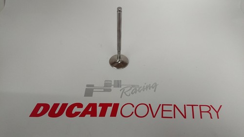 Genuine ducati 996r my99 - genuine,