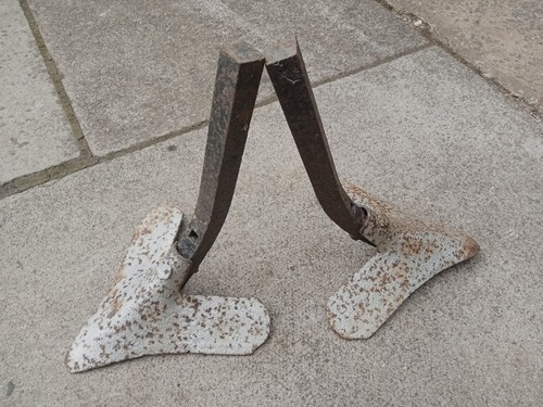Pair duck feet cultivation - duck,