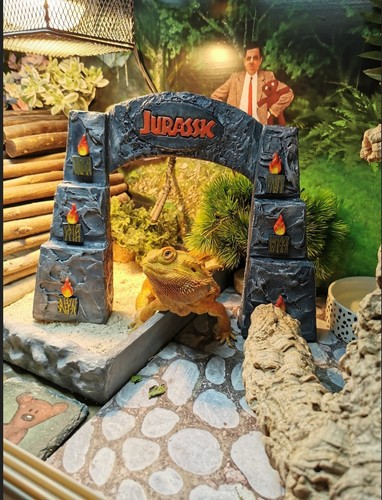 Jurassic entrance deco - jurassic, for