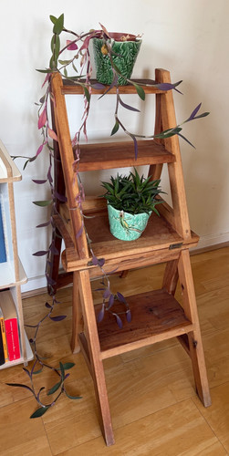 Palazzo library ladder - palazzo,
