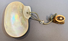 Japanese sea shell Inro Hermit