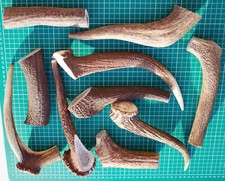 Deer Antler Dog Chews - Puppy-Small-Med-Lrg-Xlrg-Long Lasting - 100% Natural