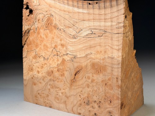 Amazing spalted live edge burr - live,
