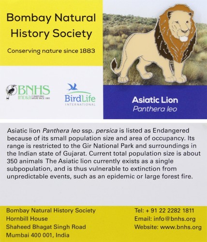 Rspb pin badge - pin, special