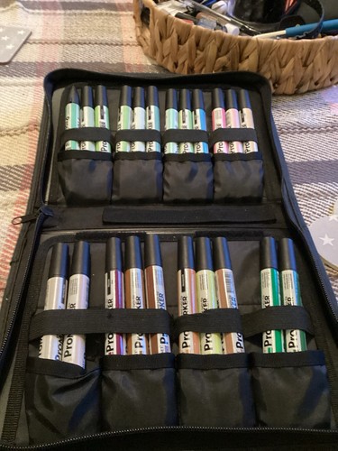Letraset promarkers - 22,