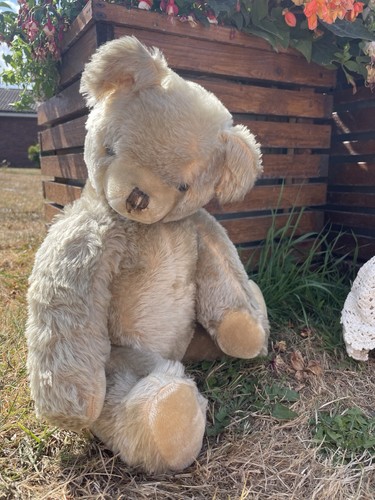Teddy bear old - teddy, hamiro