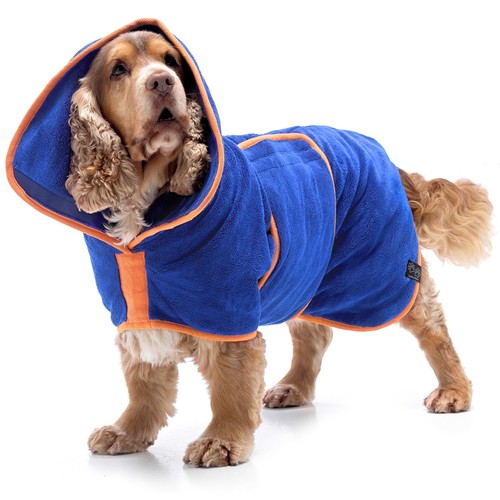 Lucky paws dog - lucky, uk