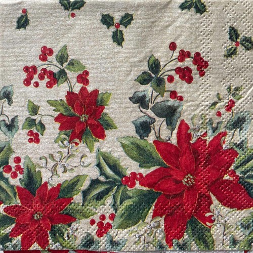 Cocktail paper napkins for - x,