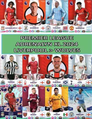 Panini premier league - panini,