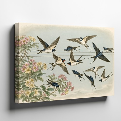 Vintage swallows birds flying - birds,