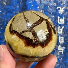 Turtle Shell & Topaz Egg - Natural Stone Specimen  - 8.95OZ