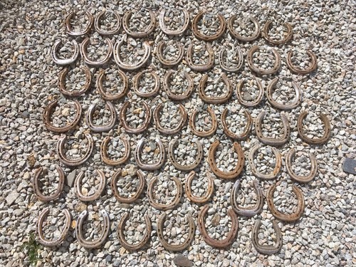 Used horse shoes old - used,