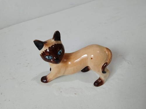 Siamese cat small - siamese,