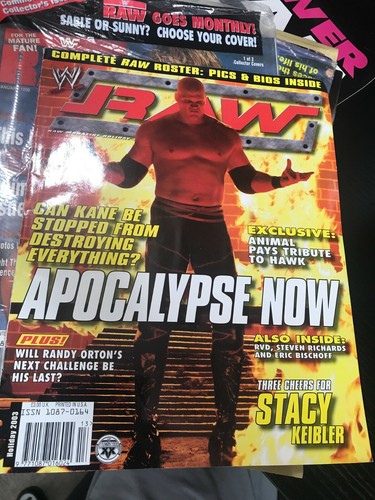 Wwf wwe raw magazine holiday - wwe,