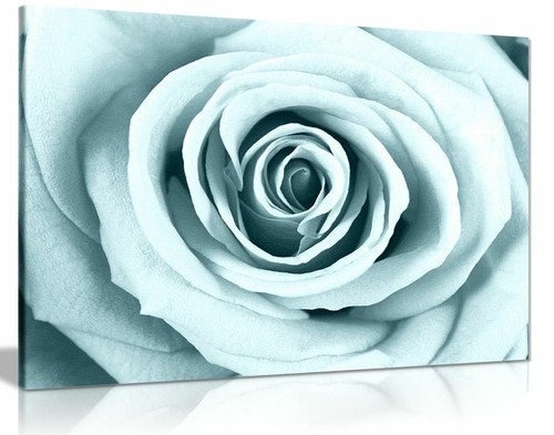 Duck egg blue rose - egg,