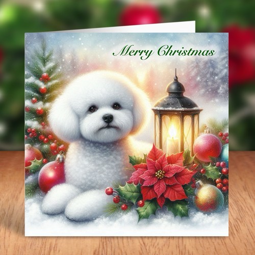 Bichon frise dog christmas - dog,