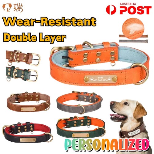 Dog collar personalised name - personalised,