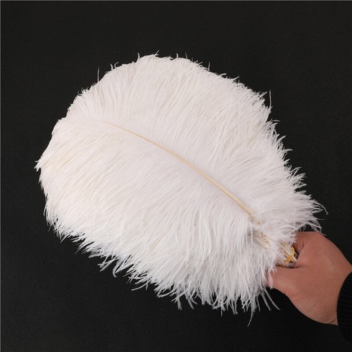 Large bulk ostrich - large,