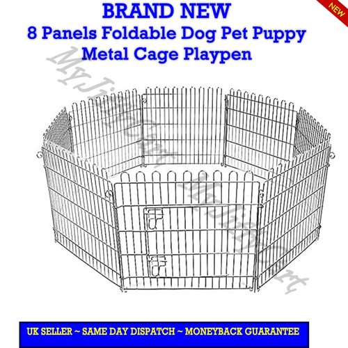 Dog pet puppy - pet,