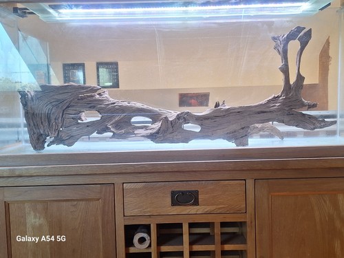 Very large stunning piece - large, of