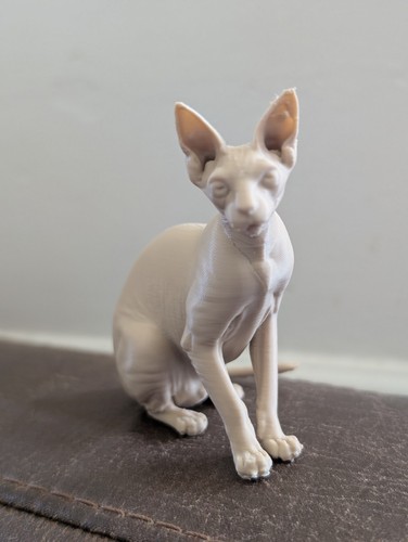 Sphynx hairless cat statue - sphynx,