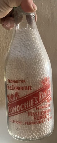 Superb rare conochie - rare, dairy