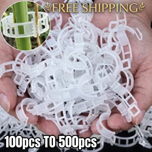 100x clip tomato and - 100x,