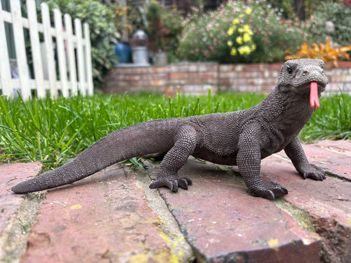 Vivid arts komodo dragon - vivid,