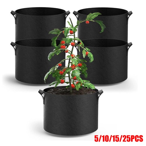 25x gallon fabric plant - 5-25x,
