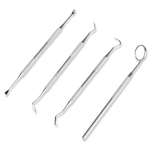 Dental hygiene tool kit - tool,