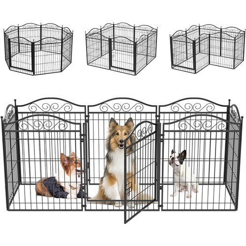 Bingopaw panels dog - 8,