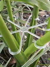 4x Plant Support Clips – Sturdy Plastic Stem Clamps for Climbing Plants UK