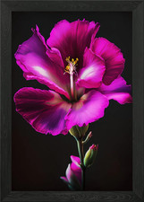 Big beautiful Flower Framed