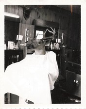 Deer Mount In Barber Chair Oddity Closed Due To Buck Fever 1960’s Polaroid Photo