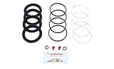 Bigg Red - Front Brake Caliper Seal Rebuild Repair Kit + Casting Seals - Compatible with Rover 2200 P6
