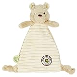 WINNIE THE POOH Rainbow Designs - Hundred Acre Wood - Baby Comfort Blanket, 200 g,RBD-TOY44