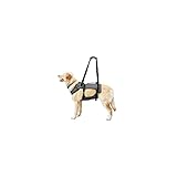 Coodeo Dog Lift Harness, Support & Recovery Sling, Pet Rehabilitation Lifts Vest Adjustable Breathable Straps for Old, Disabled, Joint Injuries, Arthritis, Paralysis Dogs Walk (Grey,Large)