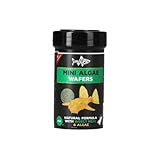 FishScience Mini Algae Wafers 45g | Fish Food for Ancistrus and Smaller Algae Eating Aquarium Fish | Tropical | Bristlenose Catfish | Plecostomus | Otocinclus