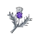 Alexander Castle Women's Small 925 Sterling Silver Scottish Thistle Brooch Pin with Real Amethyst Stone & Jewellery Gift Box - Scottish Gift for Women