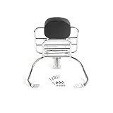 Motorcycle Backrest Sissy Bar with Luggage Rack,Silver Rear Luggage Rack with Backrest Cushion Fit for Sprint Primavera 50 125 150 250 300 GTS luggage rack