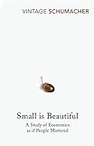 Small Is Beautiful: A Study of Economics as if People Mattered (Vintage classics)